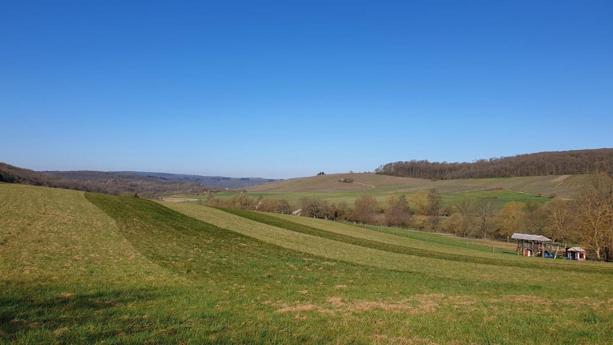 Zimmers Taelchenhof Oberemmel ภายนอก รูปภาพ
