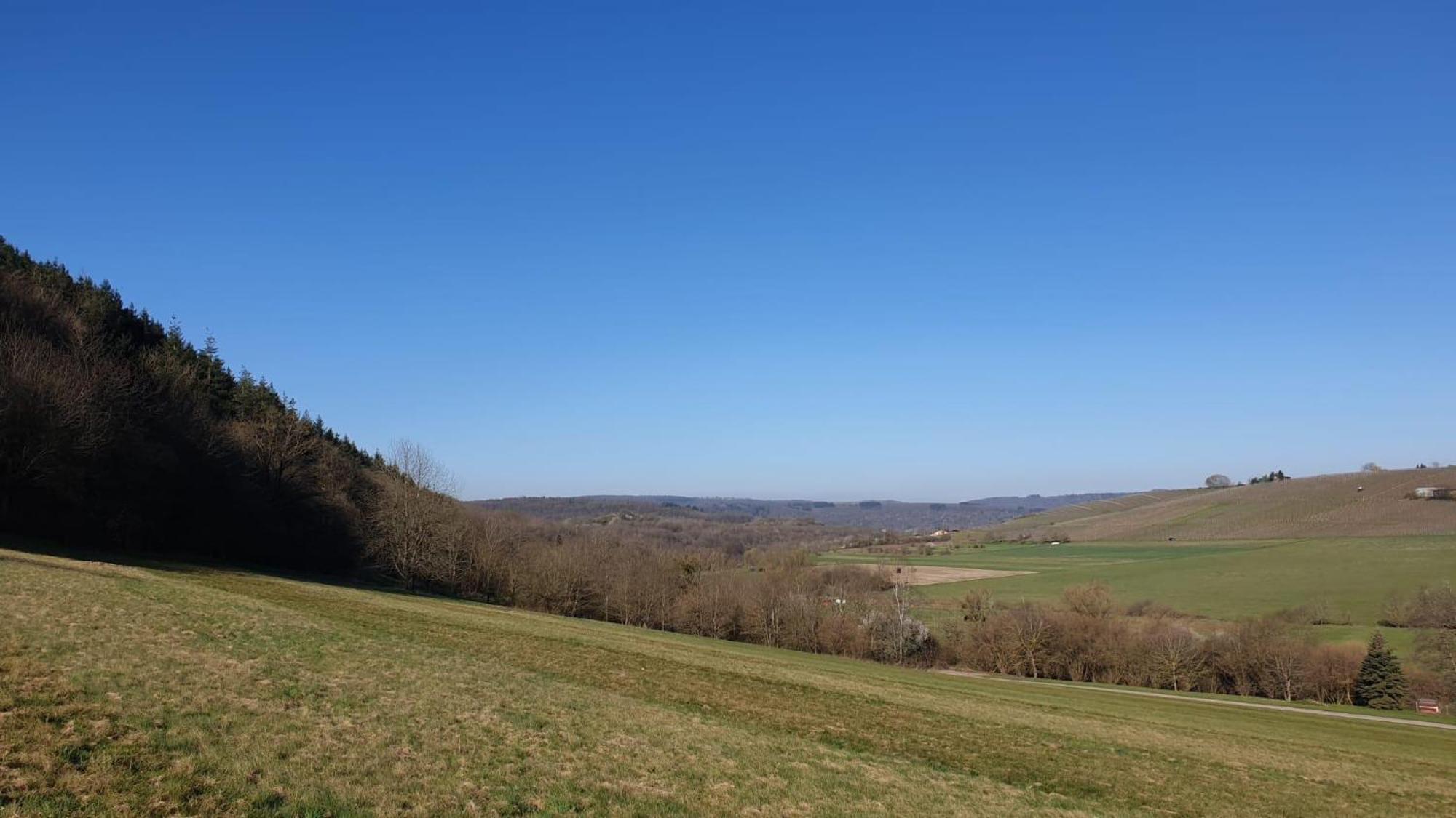 Zimmers Taelchenhof Oberemmel ภายนอก รูปภาพ