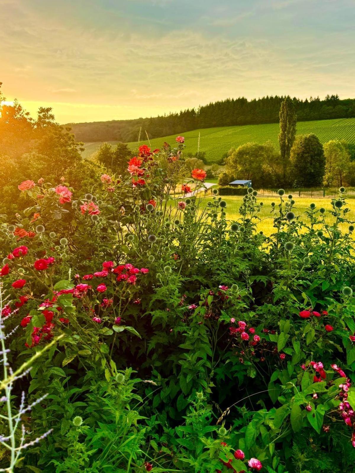 Zimmers Taelchenhof Oberemmel ภายนอก รูปภาพ
